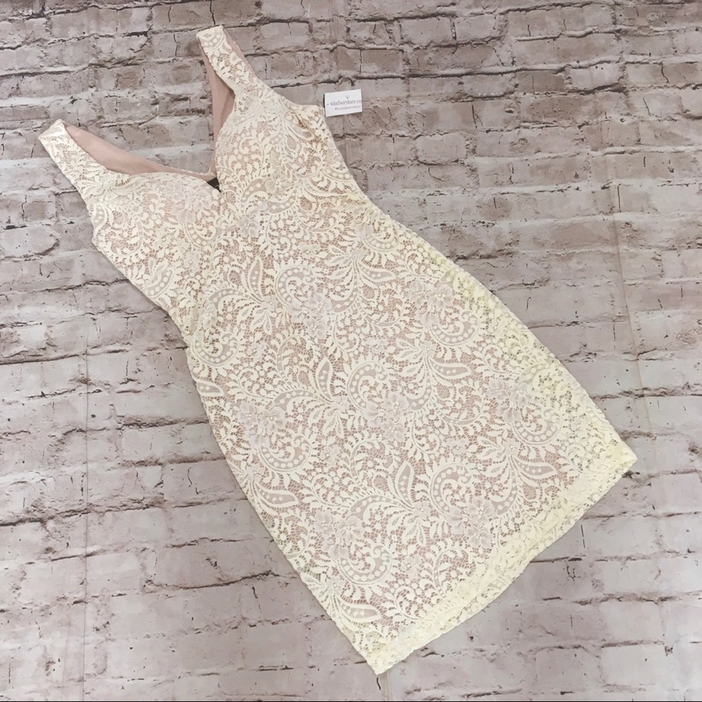 NWT Windsor lace sleeveless Cocktail dress